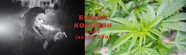 прущая мука Корсаков
