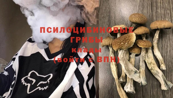 прущая мука Корсаков