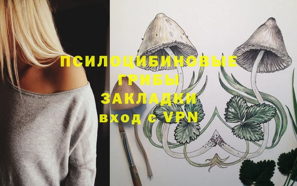 экстази Коряжма