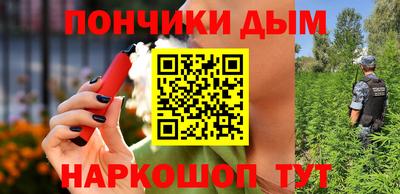 крисы Бийск