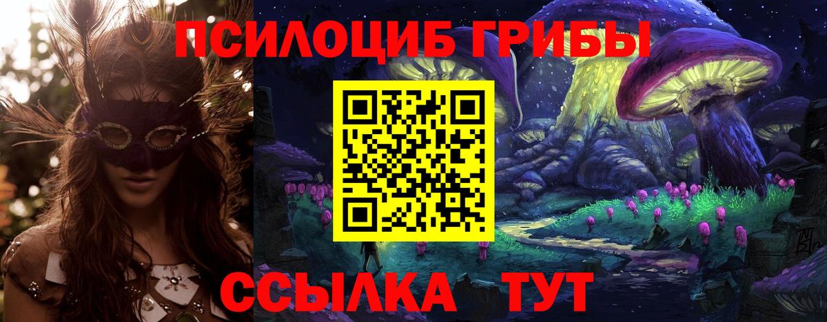 Псилоцибиновые грибы мухоморы Красноярск